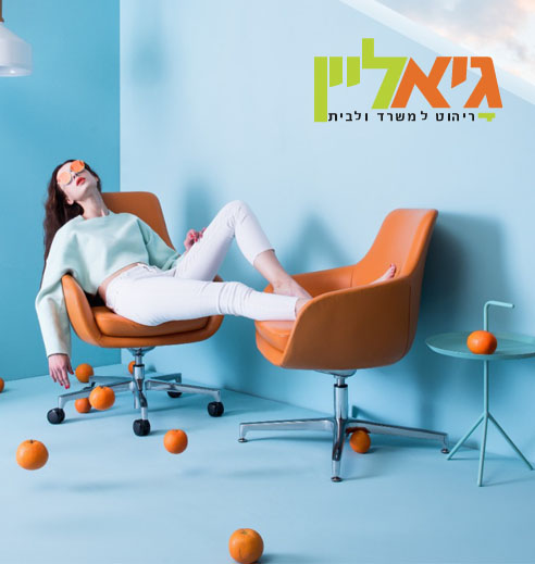 גיא ליין, ריהוט משרדי יוקרתי, רהיטי משרד